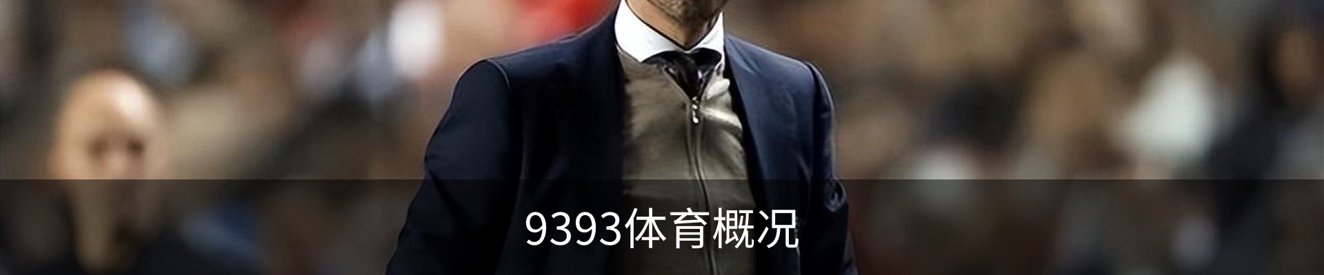 9393体育概况